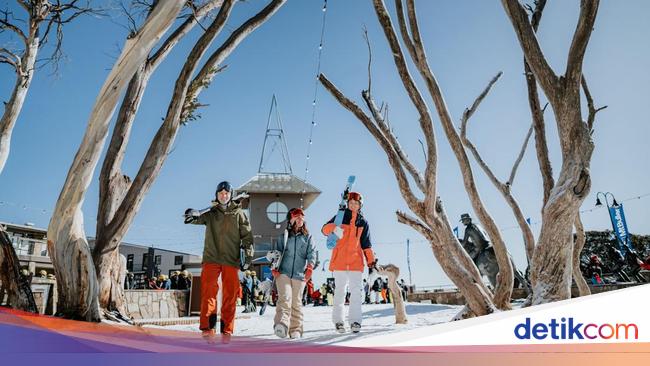 6 Ide Wisata Favorit di Melbourne Australia, Cocok buat Cool Escape