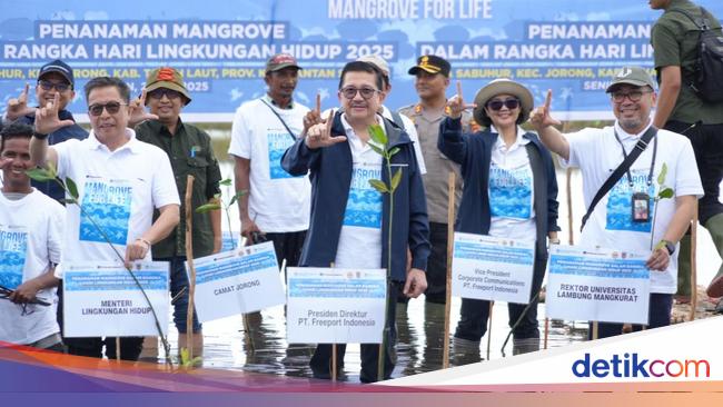 Freeport &amp; KLH Kebut Program Rehabilitasi Mangrove di Kalsel