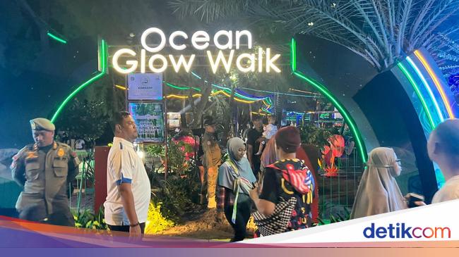 Melihat Keindahan Alam Bawah Laut Jakarta Illumination Island