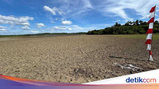Melihat dari Dekat Lokasi Proyek Garam di NTT Rp 2 T yang Direstui Prabowo