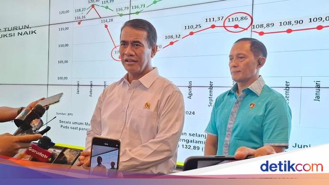 Harga Beras Naik, Mentan Cium Gelagat Mencurigakan di Gudang Cipinang