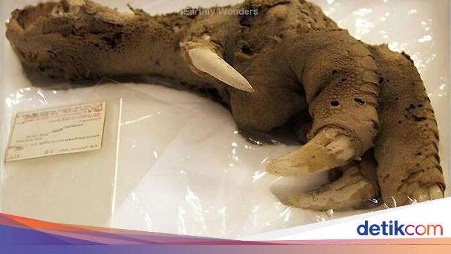 Penemuan Kuno yang Mengubah Sejarah Manusia, Ada Indonesia