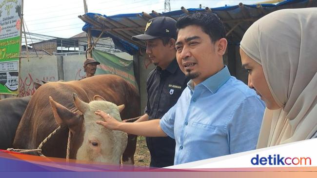 Ustaz Solmed Beli 3 Sapi, Ingatkan Syariat Penyembelihan Hewan Kurban