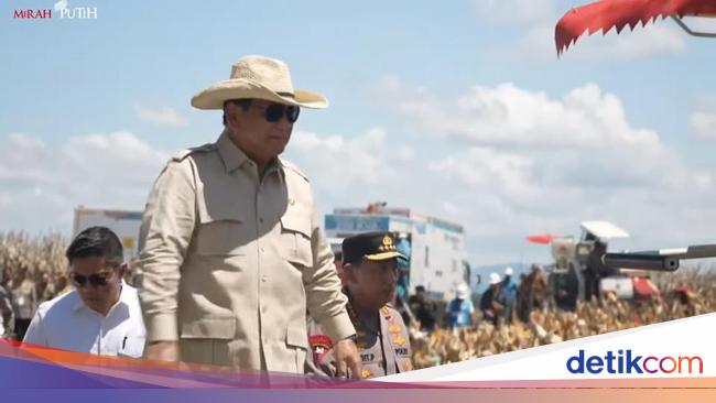 Pemerintah Pede Mulai Tahun Depan Setop Impor Jagung