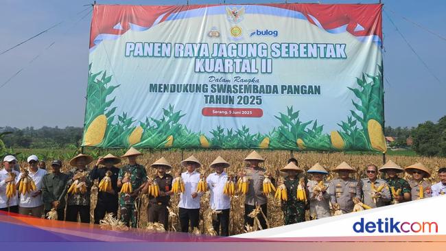 Kapolda Banten-Andra Soni Panen Raya Jagung, Harap Tingkatkan Ketahanan Pangan