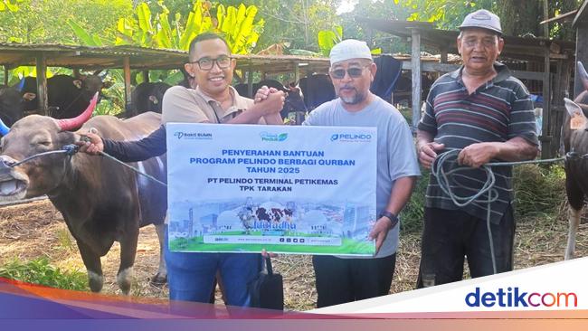 Pelindo Petikemas Siapkan 30 Juru Sembelih Halal Jelang Idul Adha 2025