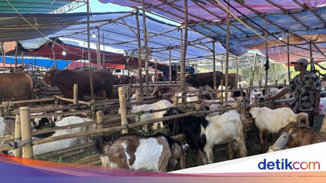Masjid Sunda Kelapa dan Masjid Al Azhar Jakarta Sembelih Hewan Kurban Besok