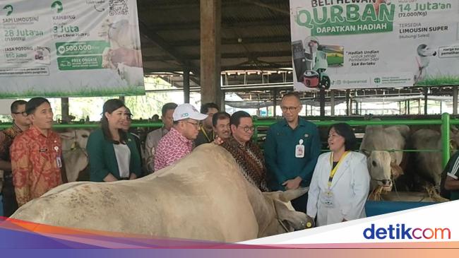 Pramono Tinjau Dharma Jaya Jelang Idul Adha, Pastikan Tak Ada Hewan Sakit