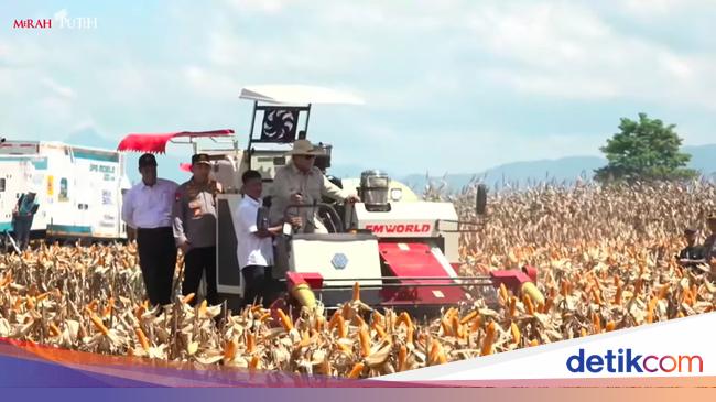 Pakai Traktor Pemanen Jagung, Prabowo Pimpin Panen Raya Serentak Kuartal II