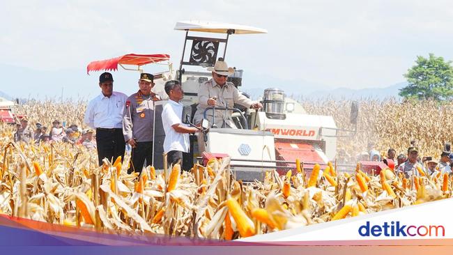 Komitmen Kapolri Dukung Visi Swasembada Pangan Prabowo Lewat 18 Gudang Jagung