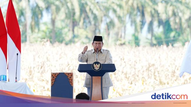 Prabowo: Saya Diberi Jaminan Mentan-Kapolri, 2026 RI Tak Impor Jagung
