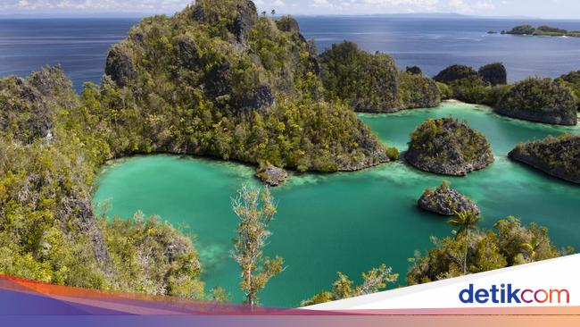 Api Raja Raja Ampat dalam Sorotan Media Internasional