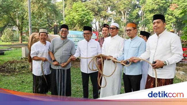 Andra Soni Saksikan Sapi Kurban Prabowo Disembelih: Kita Salurkan ke Warga