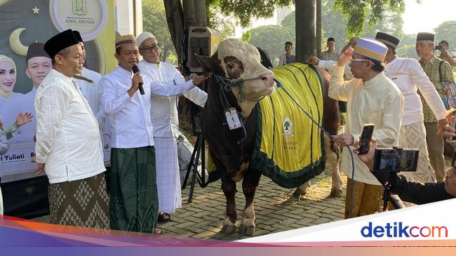 Bahlil Serahkan Sapi Kurban 1,2 Ton ke Masjid Ainul Hikmah Golkar