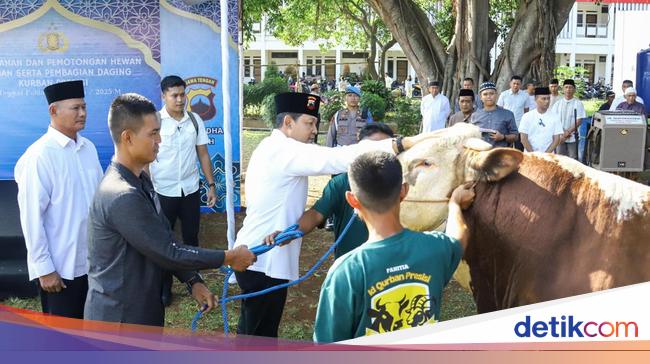 Polda Jateng Sembelih 808 Sapi-Kambing, Ribuan Paket Kurban Dibagikan ke Warga