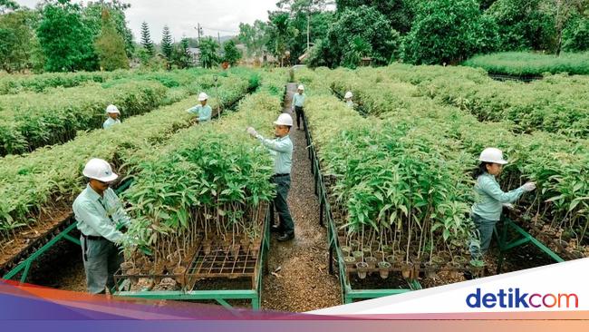 Jurus Grup MIND ID Kurangi Polusi Sampah Plastik di Indonesia