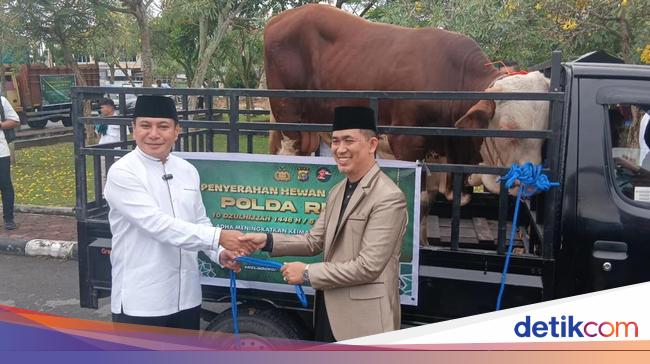 Polda Riau Distribusikan 191 Ekor Hewan Kurban ke Masyarakat