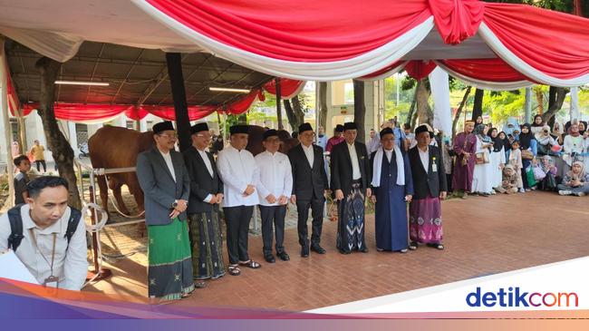 Sapi Kurban Prabowo-Gibran Diserahkan ke Istiqlal, Namanya Brawijaya dan Jack