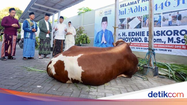 Ibas Kurban 1 Ekor Sapi di Pacitan: Semoga Bawa Keberkahan
