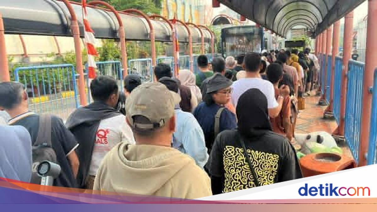 Antrean TransJabodetabek ke Alsut hingga Bogor Mengular di Terminal Blok M