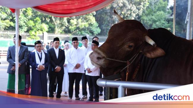 APPSI Apresiasi Prabowo Beli 985 Sapi untuk Kurban Idul Adha