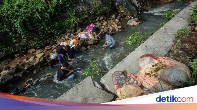 Cuci Jeroan di Kali Jadi Tradisi Idul Adha di Depok
