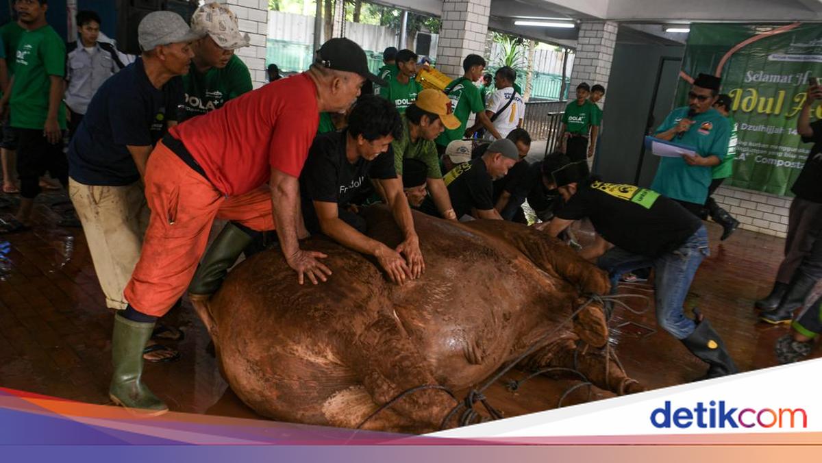 Wajib Tahu! 5 Syarat Penyembelih Hewan Kurban Menurut Syariat