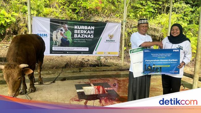 PNM Gandeng BAZNAS Salurkan Hewan Kurban ke Masyarakat di Wilayah 3T