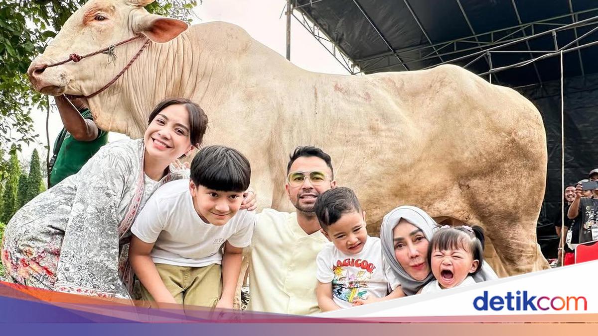 Raffi Ahmad Kurban 22 Sapi dan 90 Domba Tahun Ini