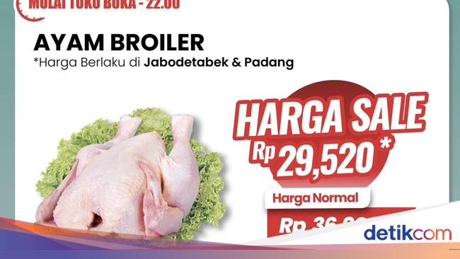 Buruan Belanja, Ayam Broiler Rp 26 Ribuan Per Ekor di Transmart Full Day Sale