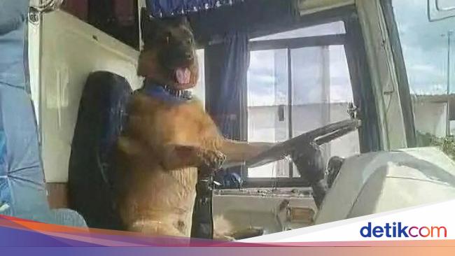 Ada Saja Kelakuan Konyol orang-orang di Internet, Cek Deh