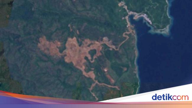 Turis Asing Ramai Suarakan Tambang Raja Ampat, Ini Isi Pesan Mereka