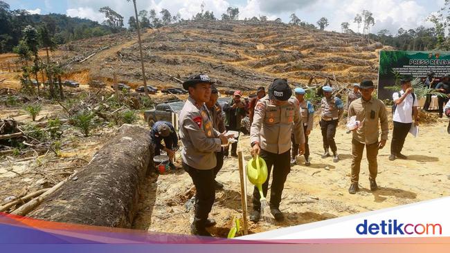Polda Riau Lakukan Reboisasi di Lahan Hutan Lindung yang Dirusak Perambah
