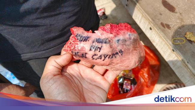 5 Hal Geger Paru Sapi Kurban Bertuliskan Nama Orang di Tangsel