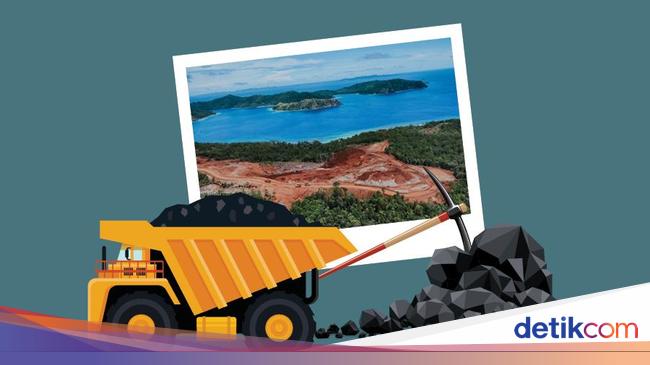 Kebijakan Jahat di Raja Ampat