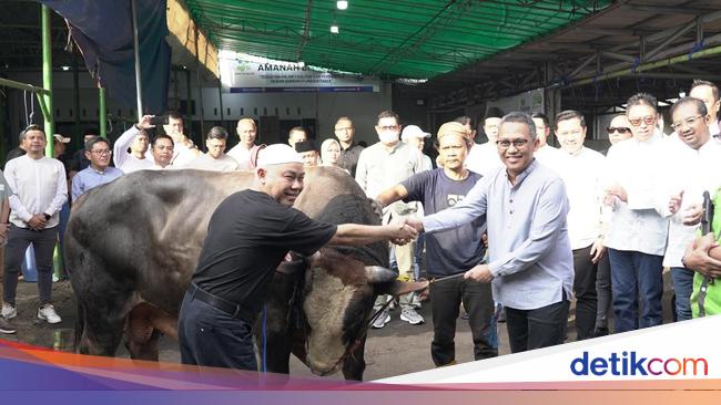 Lebih dari 700 Hewan Kurban Disalurkan Pegadaian Se-Indonesia
