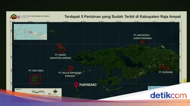 Izin 4 Tambang di Raja Ampat Dicabut, Ini Pemiliknya