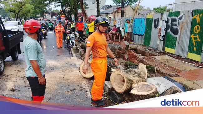 Pohon Tumbang Sempat Tutup Jalan Raya Ciater Tangsel gegara Hujan Deras