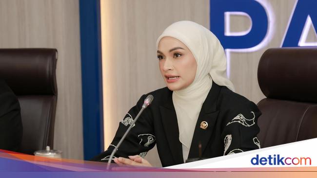 Fraksi PAN DPR Puji Prabowo atas Pencabutan Izin Tambang di Raja Ampat