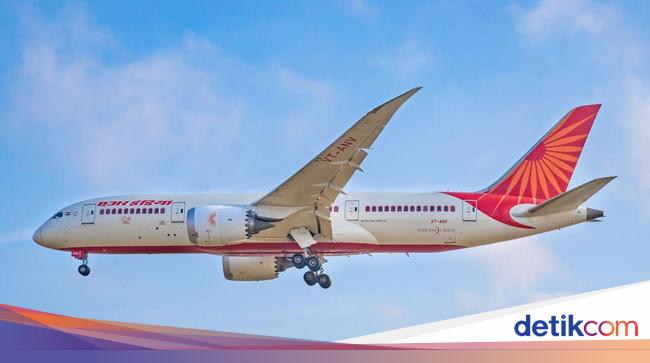 Pro Kontra Teori Tabrakan Burung Jatuhkan Boeing 787 Dreamliner