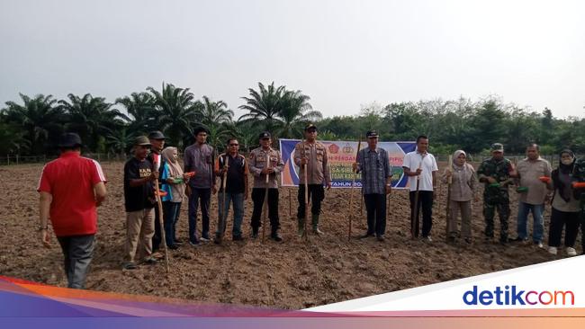 Dukung Swasembada Pangan, Polisi di Kuansing dan Warga Tanam Jagung Pipil