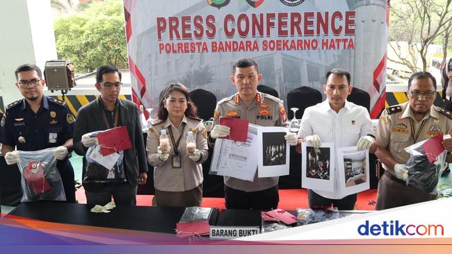 Polisi Ungkap Modus Penyeludupan Benih Lobster Rp 9,2 M Via Bandara Soetta
