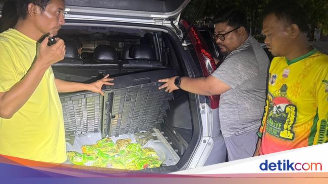 Bareskrim Gagalkan Peredaran 48 Kg Sabu Jaringan Malaysia, Kurir Ditangkap