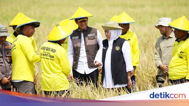 Khofifah: Produksi Padi Jatim Tertinggi, Siap Wujudkan Kedaulatan Pangan