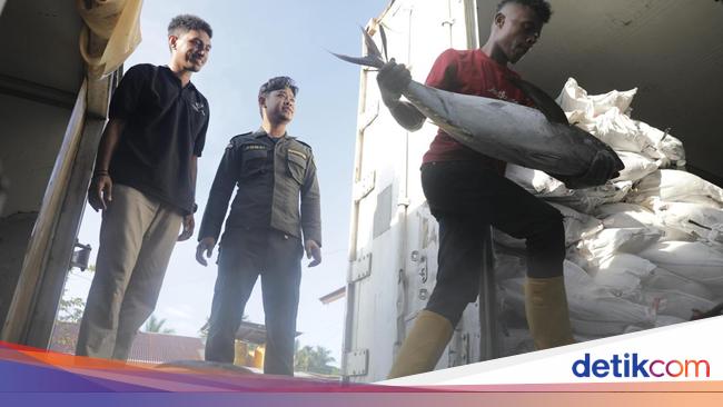 KKP Buktikan Konsep Kampung Nelayan Merah Putih Berkelanjutan
