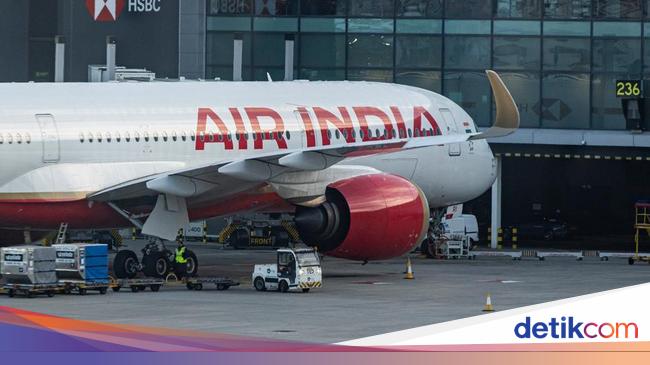 The Lone Survivor Tragedi Air India, Merangkak di Antara Korban Jiwa
