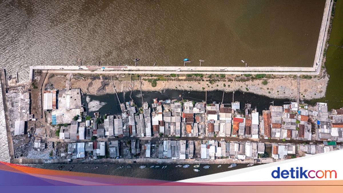 Pesisir Pantai Utara Bakal Dibentengi Tembok Raksasa Sepanjang 535 KM