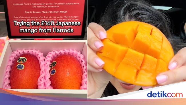 Wah! Rasa Mangga Jepang Seharga Rp 3,5 Juta Bikin Takjub