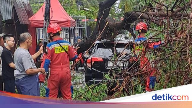 Jakarta Dilanda Hujan Angin Kencang, Mobil Jadi Korban Pohon Tumbang