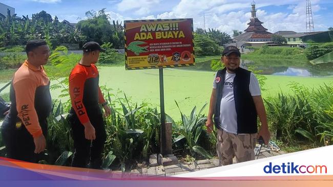 Heboh Buaya Muara Muncul di Waduk Manukan Surabaya